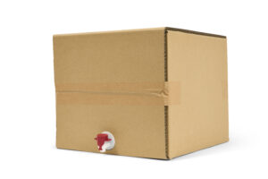 20L Bag in Box — EVOH Barrier Bag with Press Tap & Outer Carton